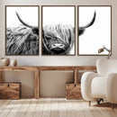 Black White Scottish Highland Cow Cattle Art Print Farmhouse