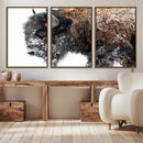 American Bison Wall Art Print – Majestic Buffalo Canvas