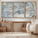 Radiant Abstract Wood Rings Canvas Art – Modern Triptych