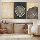 Tree Rings Canvas Wall Art Print – Minimalist Natural