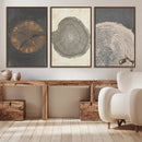 Boho Tree Ring Wall Art, Modern Minimalist Wood Grain