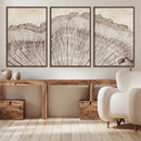 Tree Ring Wall Art Triptych, Rustic Wood Ring Canvas Print,