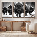 American Bison Art | Buffalo Herd Wall Art Canvas Print, BW