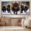 Buffalo Wall Art Canvas Print, American Bison Herd Wall Art by MyGreatCanvas | Canvas Wall Art Prints | Photo Prints & Wall Decor
