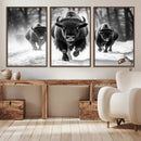 Buffalo Wall Art Canvas Print, Bison Family Wall Art Canvas by MyGreatCanvas | Canvas Wall Art Prints | Photo Prints & Wall Decor