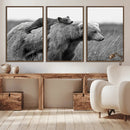 Bear and Cub Wall Art Canvas | 399 Bear Cub