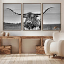 Texas Longhorn Cow Wall Art, Texas Longhorn Canvas, Cattle