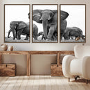 Black White Elephant Family Wall Art Canvas Print