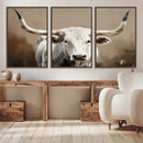 White Longhorn Bull Wall Art Canvas Print – Framed and Ready