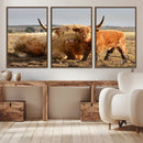 Highland Cow Canvas Wall Art Animal Print for Farm House