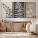 Minimalist Botanical Wall Art Canvas Print, Framed and Ready