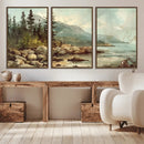 Abstract Acadia National Park Wall Art Canvas Print -