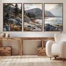 Serene Coastal View of Acadia National Park - Stunning