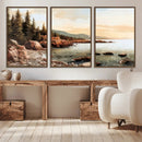 Serene Coastal View of Acadia National Park Wall Art -