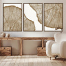 Rustic Brown Tree Ring Wall Art Canvas Print – Framed and