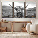 Black White Scottish Highland Cow Canvas Farm Wall Art by MyGreatCanvas | Canvas Wall Art Prints | Photo Prints & Wall Decor