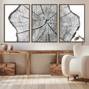 Rustic Tree Ring Wall Art Canvas Print – Framed and Ready to