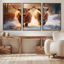 Scottish Highland Cow Horn Farm Wall Art Canvas Print