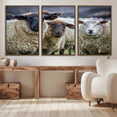 Charming Sheep Portrait Wall Art – Trio of Woolly Companions by MyGreatCanvas | Canvas Wall Art Prints | Photo Prints & Wall Decor