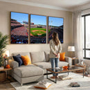 Cincinnati Reds Baseball Canvas Print - American Ball