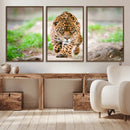Leopard on the Prowl - Stunning Large Framed Leopard Wall