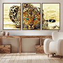 Blue-Eyed Leopard Canvas Wall Art - Framed Animal Print