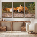Sleeping Fox Wall Art Canvas Print, Farmhouse Wall Decor and