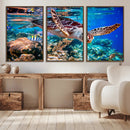 Underwater Coral Reef Sea Turtle Wall Art Canvas Print,