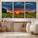 Golden Sunflower Field at Sunset – Breathtaking Sky and