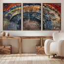 Abstract Tree Ring Wall Art, Colorful Framed Tree Ring Wall