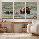 Wildlife Photography of 399 Grizzly Bear Cubs | Queen of the