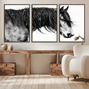Black Horse Wall Art Canvas Print – Elegant Farmhouse Decor