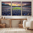 Kroger Field Wall Art Print - Kentucky Stadium Wall Art