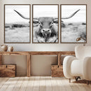 Highland Cow Wall Art Canvas Print – Black and White Western