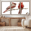 Cardinal Canvas Wall Art - Male and Female Cardinal Print -