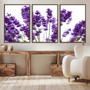Lavender Flower Wall Art Canvas Print by MyGreatCanvas | Canvas Wall Art Prints | Photo Prints & Wall Decor