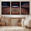 Texas Stadium Night Game Wall Art Canvas Print – Vibrant