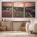 Indiana Memorial Stadium Wall Art Canvas Print, Framed