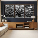 Black and White Old Angel Oak Tree Wall Art Canvas Print