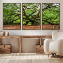 Majestic Oak Tree Wall Art Canvas Print – Ancient Branches by MyGreatCanvas | Canvas Wall Art Prints | Photo Prints & Wall Decor