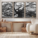Ancient Oak Wall Art Canvas Print, Majestic Twisted Branches by MyGreatCanvas | Canvas Wall Art Prints | Photo Prints & Wall Decor