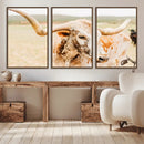 Texas Longhorn Wall Art Canvas Print – Framed Spotted Cow
