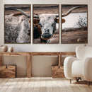 Texas Longhorn Wall Art Canvas Print – Framed Spotted Bull
