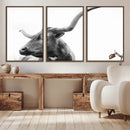Longhorn Wall Art Canvas Print – Framed Monochrome Ranch Cow