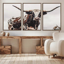 Texas Longhorn Wall Art – Framed Spotted Bull Canvas by MyGreatCanvas | Canvas Wall Art Prints | Photo Prints & Wall Decor