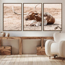 Texas Longhorn Wall Art – Framed Resting Bull Canvas by MyGreatCanvas | Canvas Wall Art Prints | Photo Prints & Wall Decor