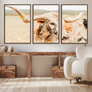 Texas Longhorn Wall Art Canvas Print – Framed Speckled Cow