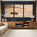 MyCanvas -