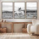 White Horse Wall Art Canvas Print – Framed Woman Rider