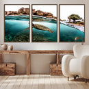 Sea Turtle Wall Art Canvas Print – Framed Ocean Life
